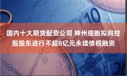 国内十大期货配资公司 神州细胞拟向控股股东进行不超8亿元永续债权融资