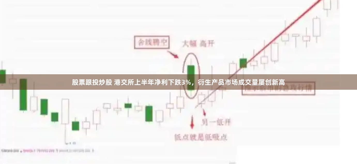 股票跟投炒股 港交所上半年净利下跌3%，衍生产品市场成交量屡创新高