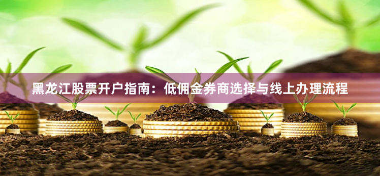 黑龙江股票开户指南：低佣金券商选择与线上办理流程